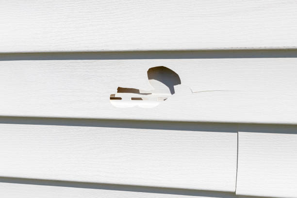 Best Siding Removal and Disposal  in Waynesboro, PA